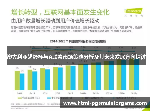 澳大利亚超级杯与A联赛市场策略分析及其未来发展方向探讨