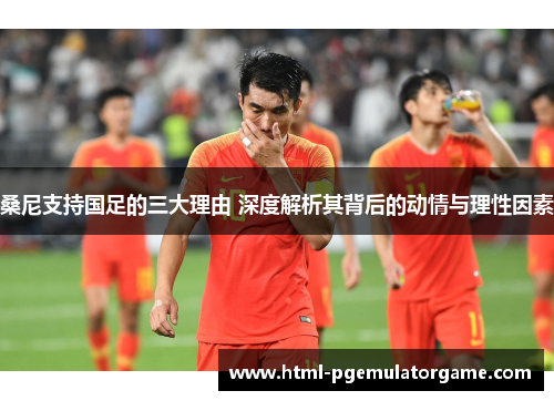 桑尼支持国足的三大理由 深度解析其背后的动情与理性因素