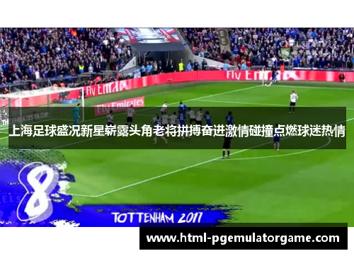 上海足球盛况新星崭露头角老将拼搏奋进激情碰撞点燃球迷热情