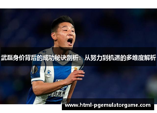 武磊身价背后的成功秘诀剖析：从努力到机遇的多维度解析
