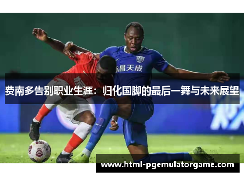 费南多告别职业生涯：归化国脚的最后一舞与未来展望