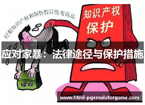 应对家暴：法律途径与保护措施