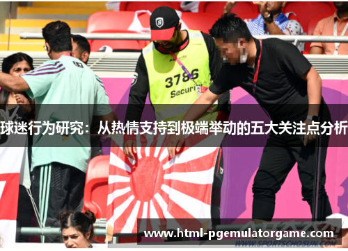 球迷行为研究：从热情支持到极端举动的五大关注点分析