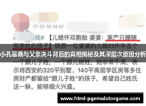 小孔塞桑与父亲决斗背后的真相揭秘及其深层次原因分析