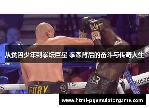 从贫困少年到拳坛巨星 泰森背后的奋斗与传奇人生