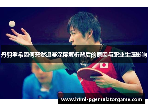 丹羽孝希因何突然退赛深度解析背后的原因与职业生涯影响