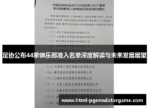 足协公布44家俱乐部准入名单深度解读与未来发展展望