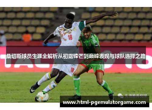 桑切斯球员生涯全解析从初露锋芒到巅峰表现与球队选择之路