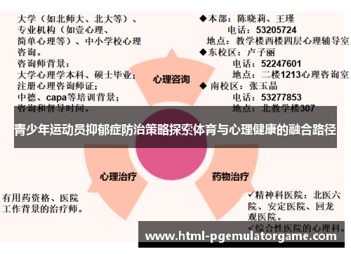 青少年运动员抑郁症防治策略探索体育与心理健康的融合路径