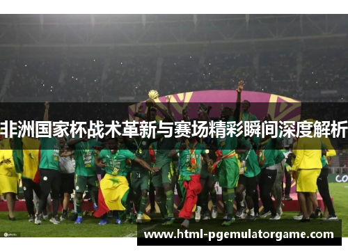 非洲国家杯战术革新与赛场精彩瞬间深度解析