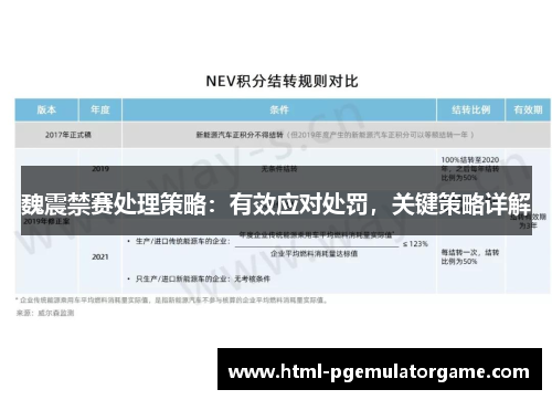 魏震禁赛处理策略：有效应对处罚，关键策略详解