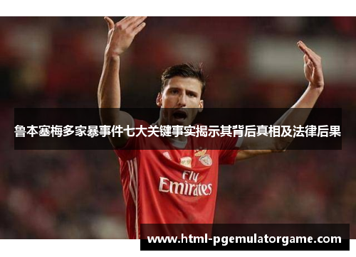 鲁本塞梅多家暴事件七大关键事实揭示其背后真相及法律后果