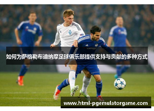 如何为萨格勒布迪纳摩足球俱乐部提供支持与贡献的多种方式
