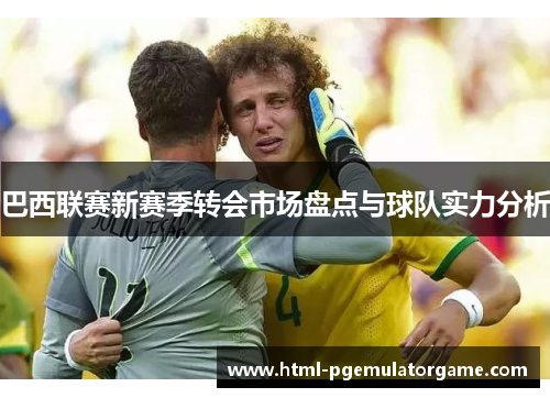 巴西联赛新赛季转会市场盘点与球队实力分析