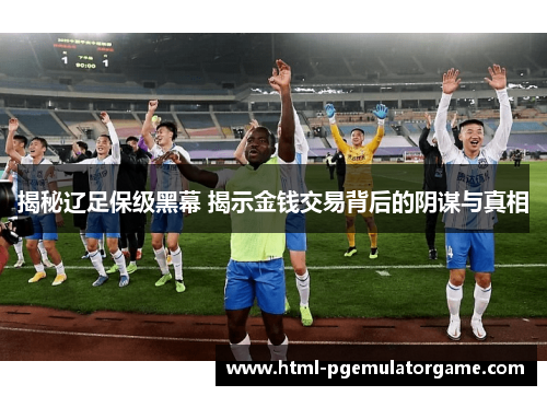 揭秘辽足保级黑幕 揭示金钱交易背后的阴谋与真相