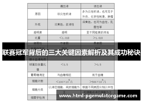 联赛冠军背后的三大关键因素解析及其成功秘诀